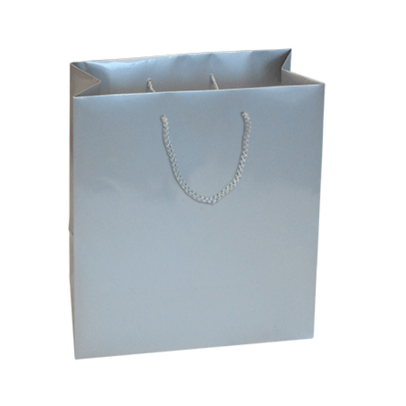 200gsm Coated Paper Bags - Gloss Laminated - Silver