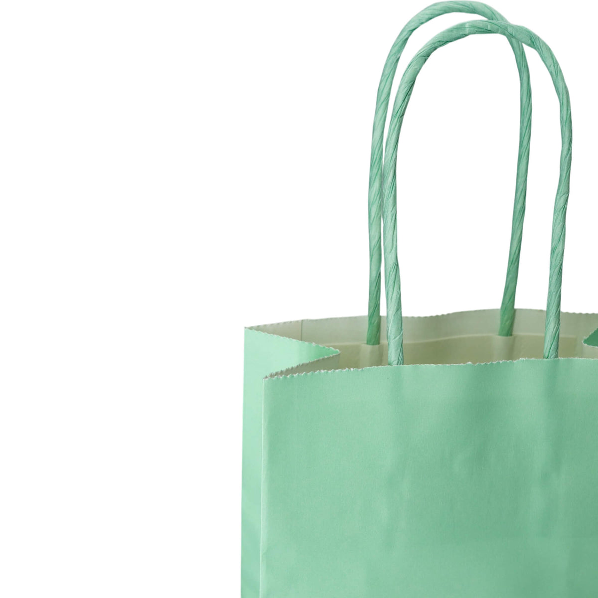 Sacos Asa Torcida Kraft Branco 90g - Verde Pastel