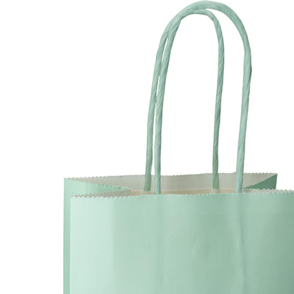 Sacos Asa Torcida Kraft Branco 90g - Verde Pastel