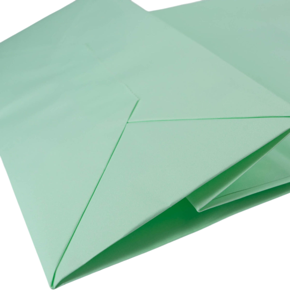 Sacos Asa Torcida Kraft Branco 90g - Verde Pastel