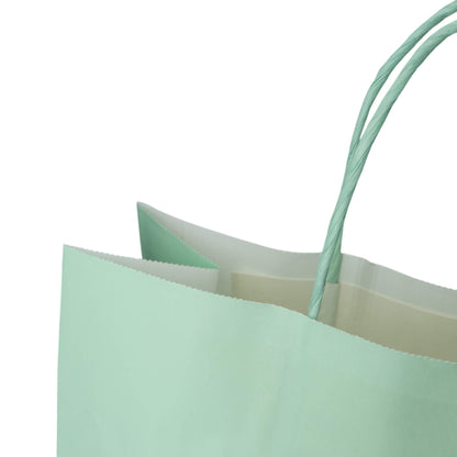 Sacos Asa Torcida Kraft Branco 90g - Verde Pastel