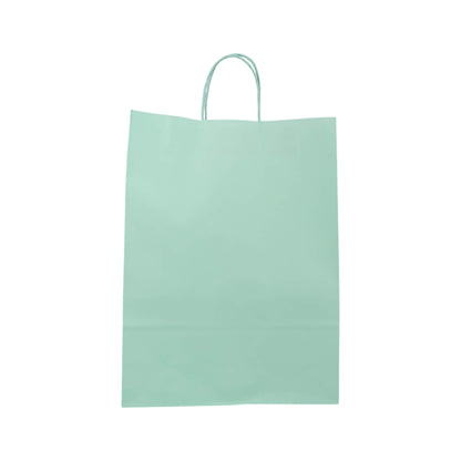 Sacos Asa Torcida Kraft Branco 90g - Verde Pastel
