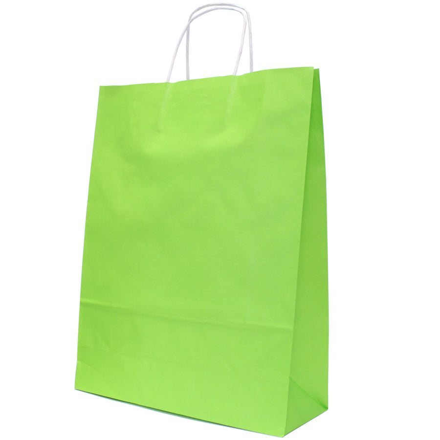 Sacos Asa Torcida Kraft Branco 90g - Verde Alface