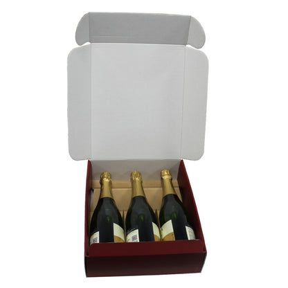 Cantinetta Boxes with White Interior for Bottles - Embossed Laminated - Bordeaux