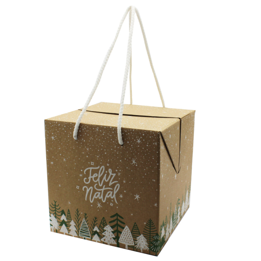Secret Boxes with Cord - Green and White - "Merry Christmas"