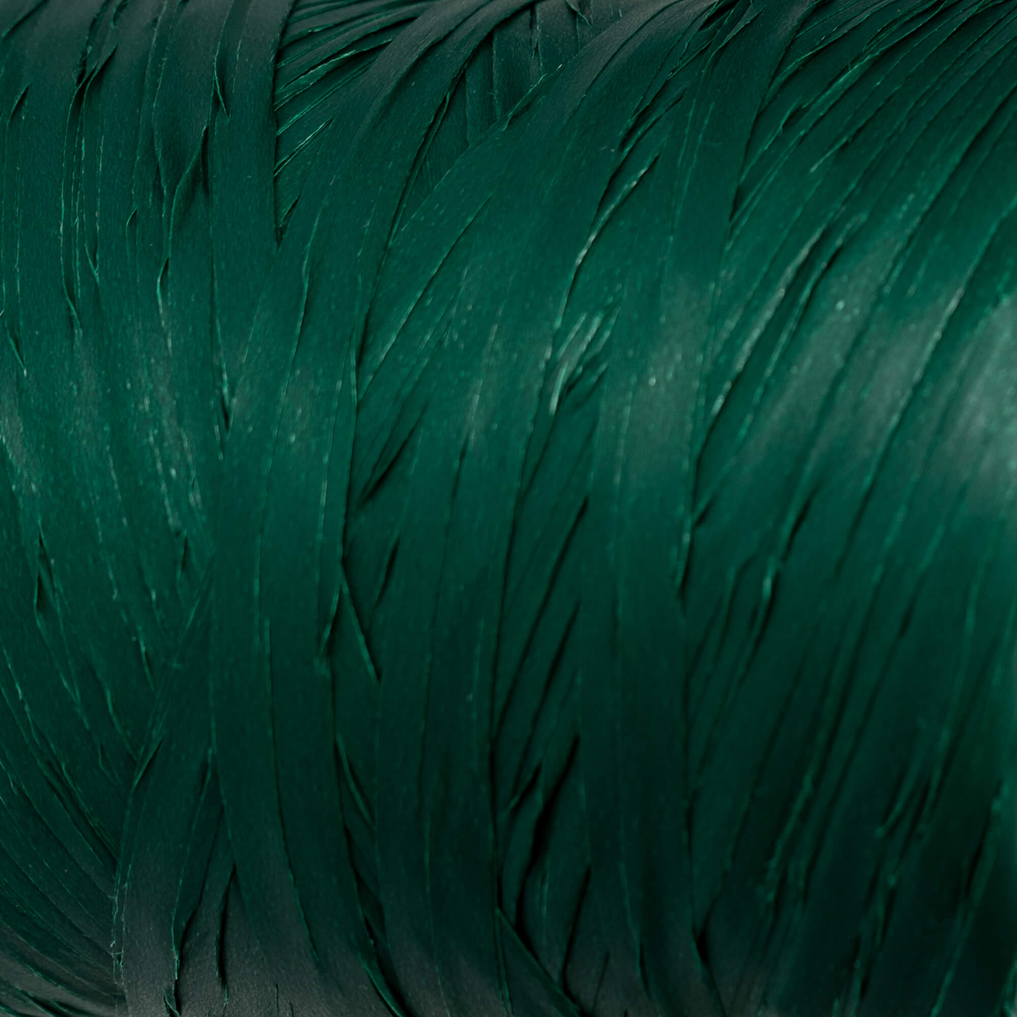 Star Raffia Ribbon - Dark Green