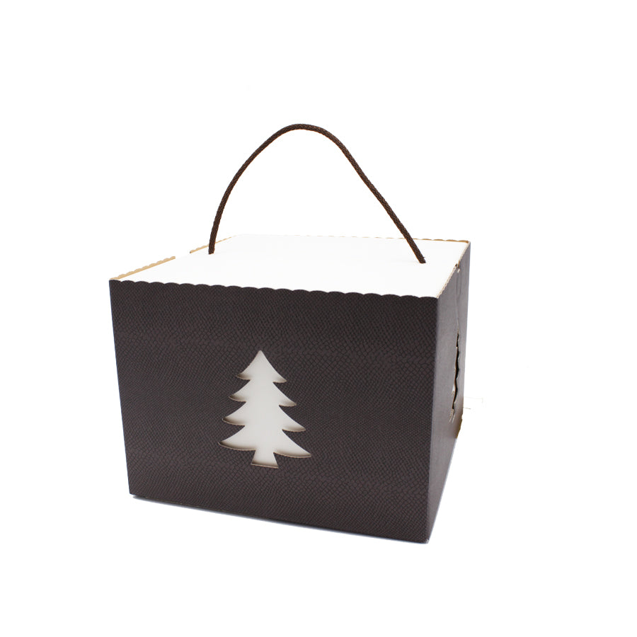 Cajas con Cordón - Marrón - "Skin Coffee/Árbol"