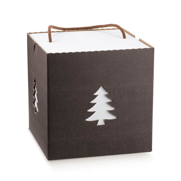 Cajas con Cordón - Marrón - "Skin Coffee/Árbol"