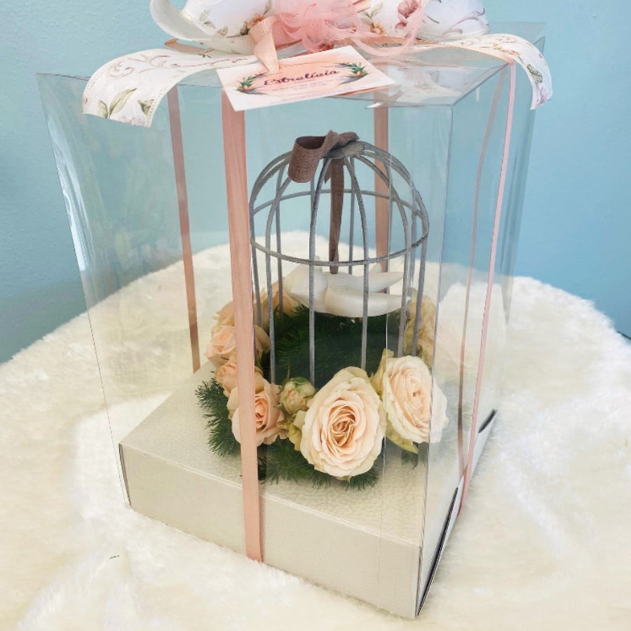 PVC Boxes with Base - Transparent and White - "Pele"