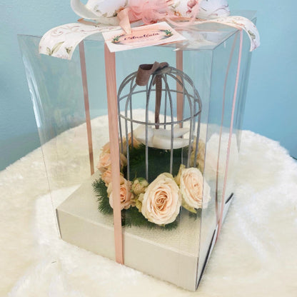 PVC Boxes with Base - Transparent and White - "Pele"