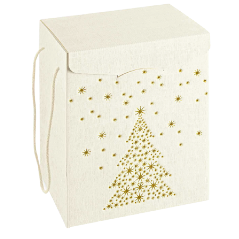 Secret Boxes with Cord - White and Gold - "Arrow"
