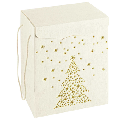 Secret Boxes with Cord - White and Gold - "Arrow"